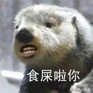 被大部分人低估的SEO搜索引擎优化技能